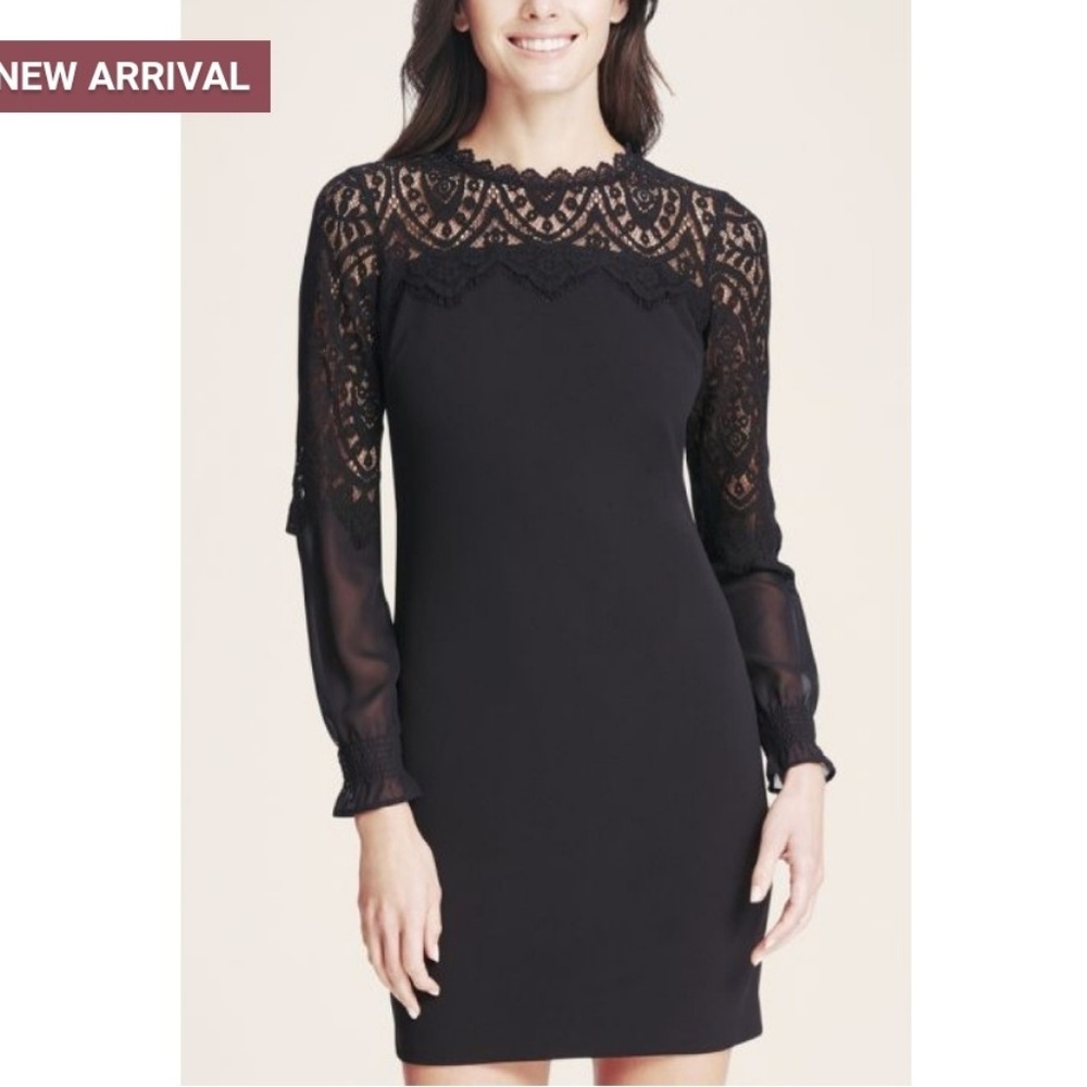 Kensie Dresses black lace sheath dress NWT size 10